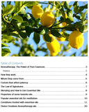 Aromatherapy 101- A comprehensive guide to essential oils