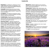 Aromatherapy 101- A comprehensive guide to essential oils